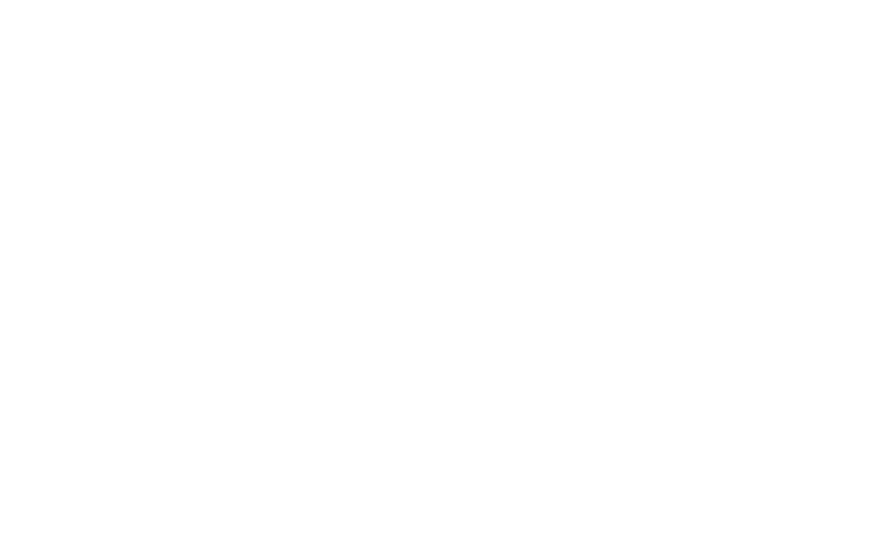 aceofweb.lt